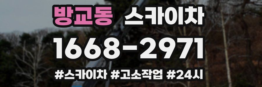 방교동 스카이차