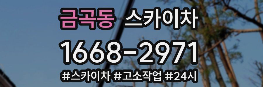 금곡동 스카이차