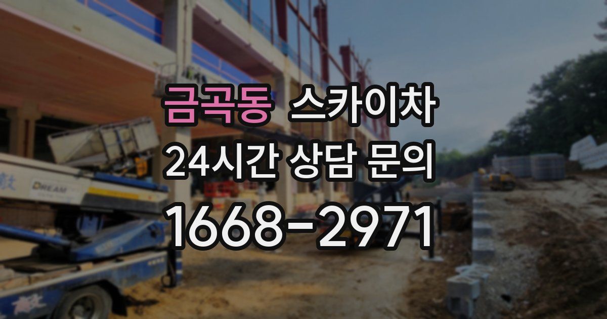 금곡동 스카이차