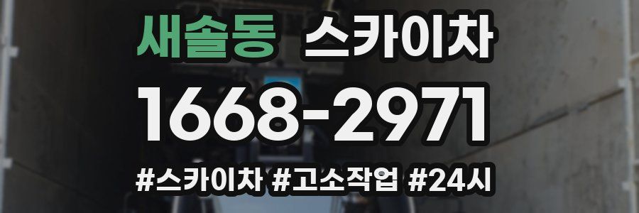 새솔동 스카이차