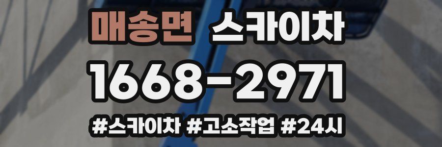 매송면 스카이차