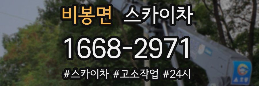 비봉면 스카이차