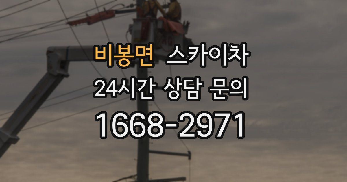 비봉면 스카이차