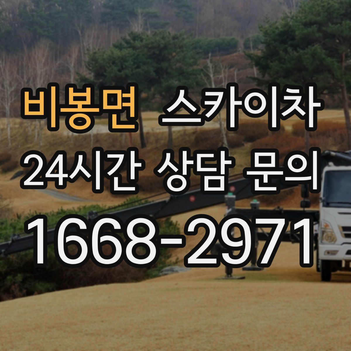 비봉면 스카이차