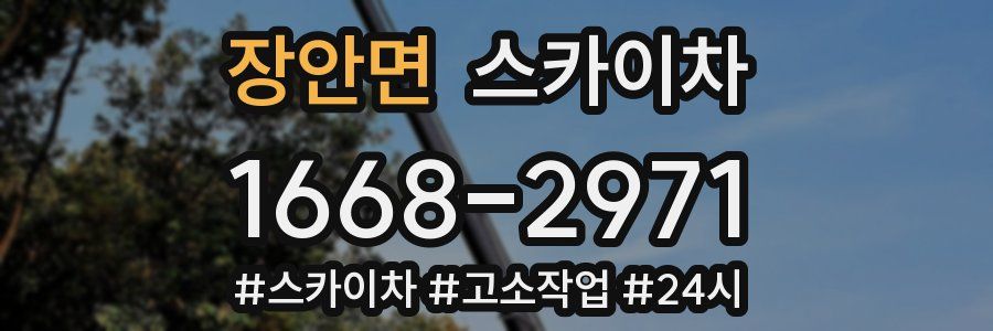 장안면 스카이차