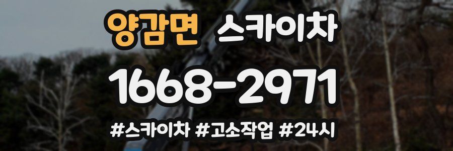 양감면 스카이차