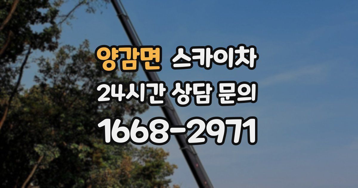 양감면 스카이차