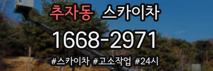 추자동 스카이차