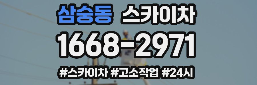 삼숭동 스카이차