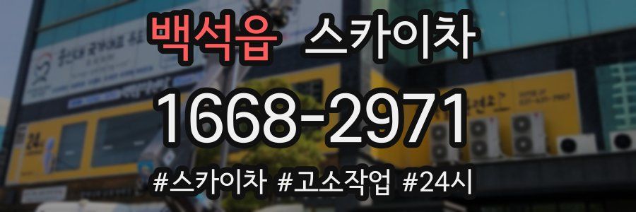 백석읍 스카이차