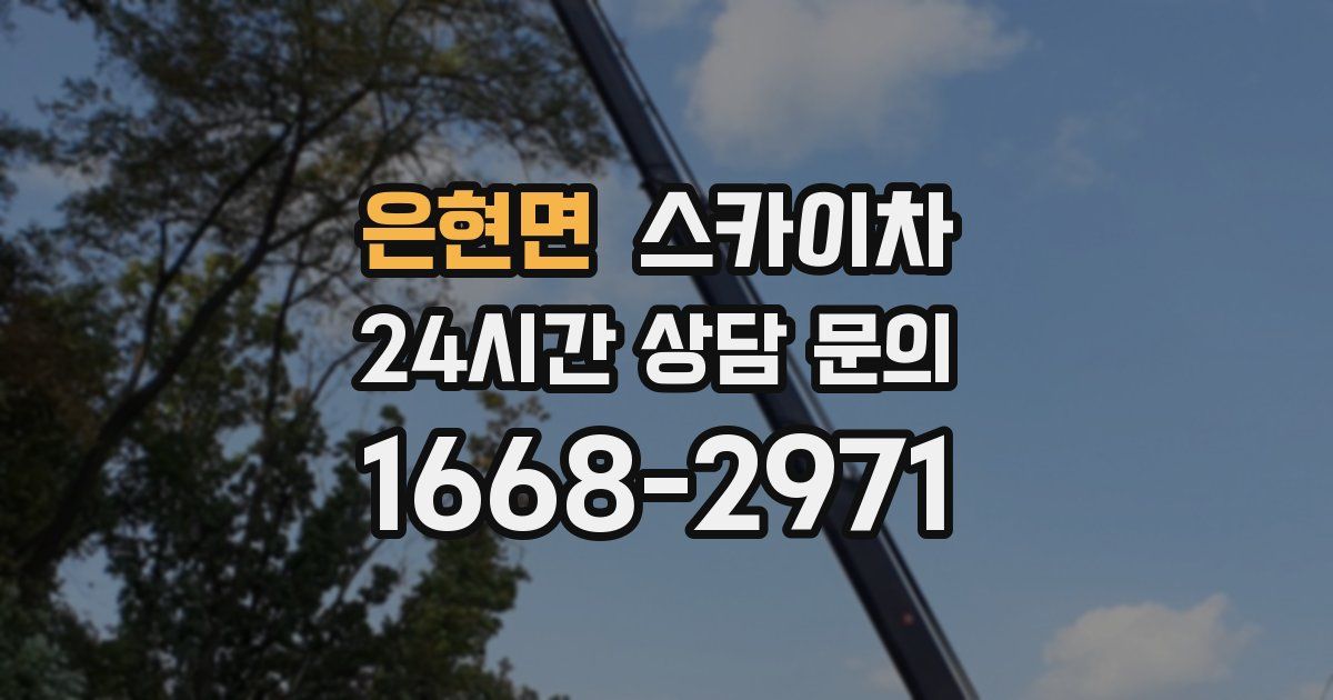 은현면 스카이차