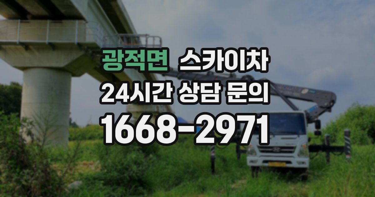 광적면 스카이차