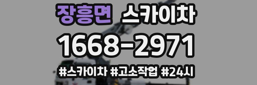 장흥면 스카이차