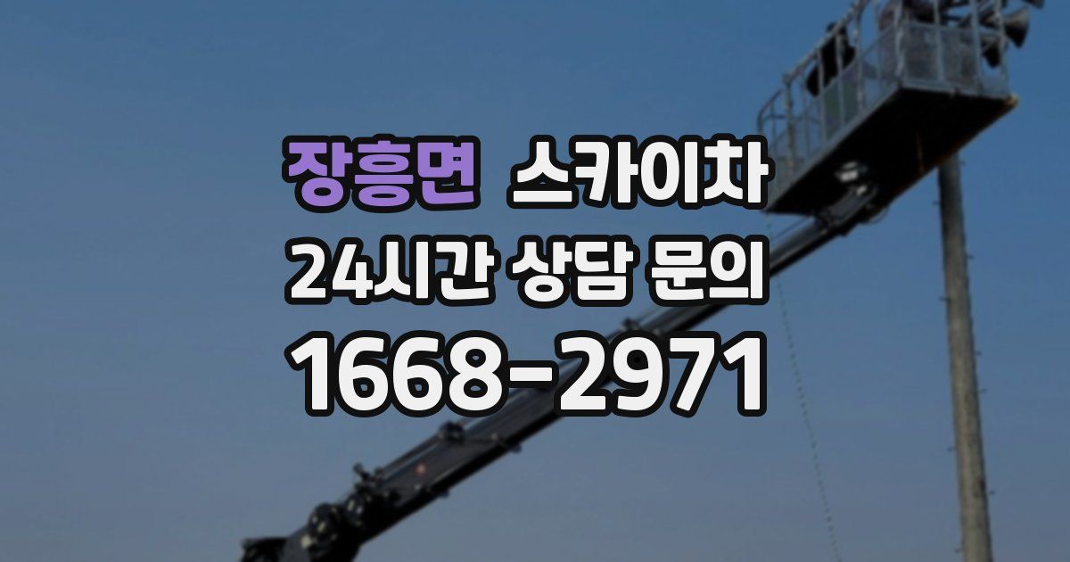 장흥면 스카이차