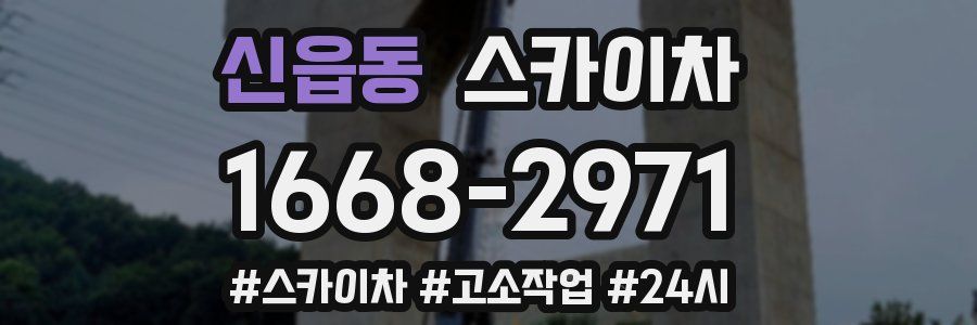 신읍동 스카이차