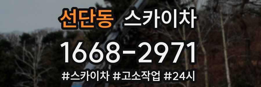 선단동 스카이차