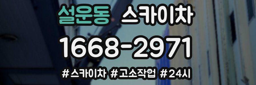 설운동 스카이차