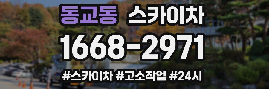 동교동 스카이차