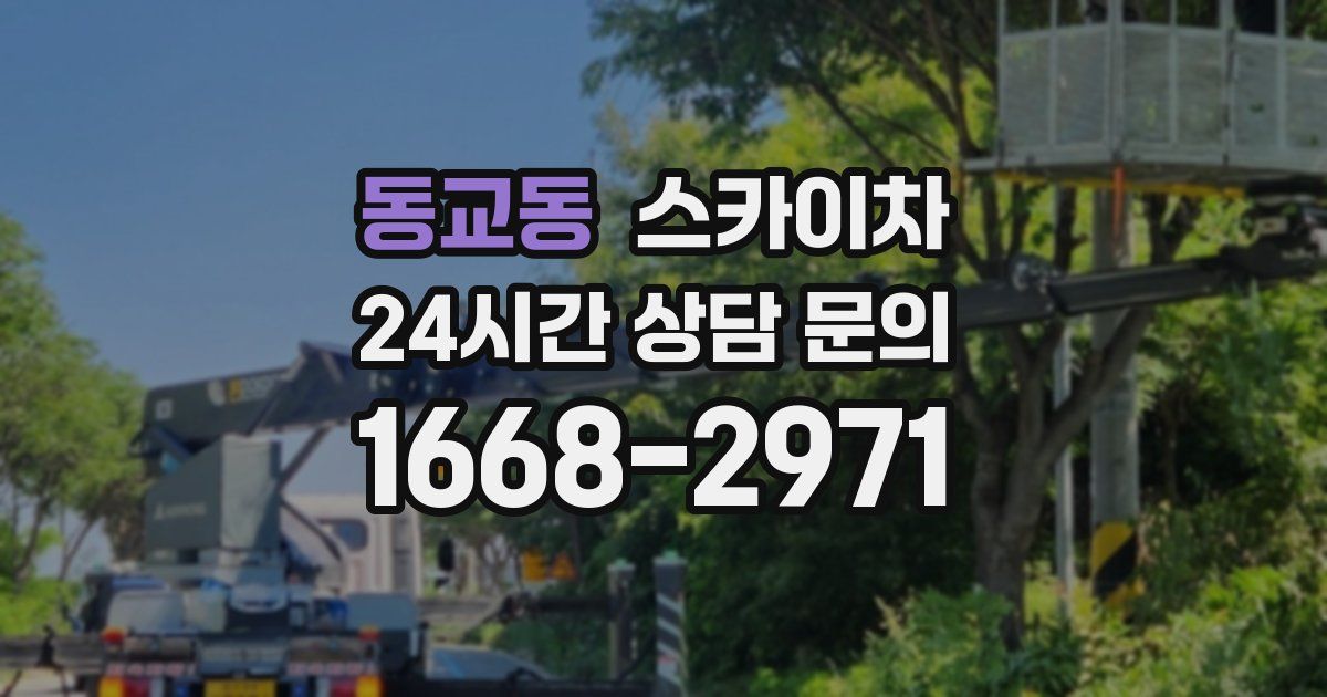 동교동 스카이차