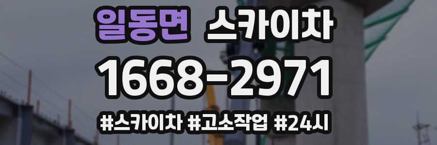 일동면 스카이차