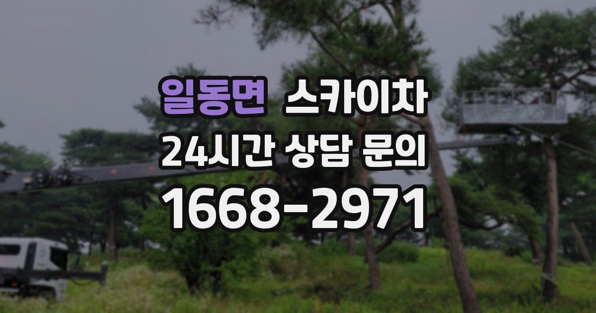 일동면 스카이차