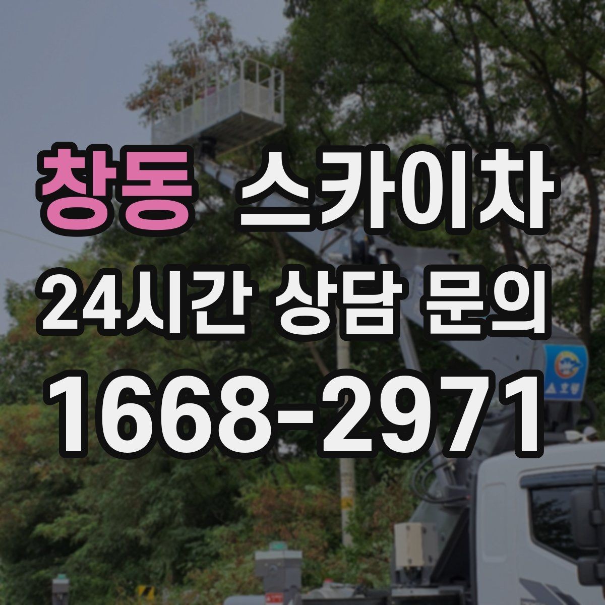 창동 스카이차 창문 외부 방충망 교체 작업 가능할까