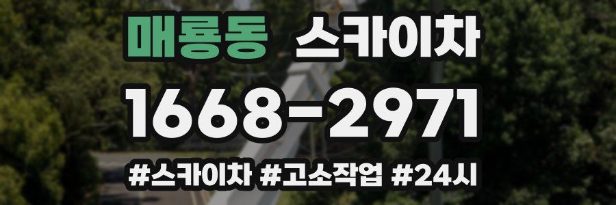 매룡동 스카이차