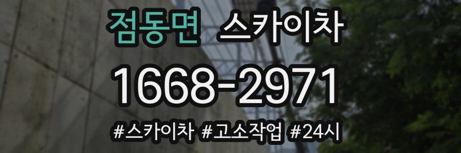 점동면 스카이차