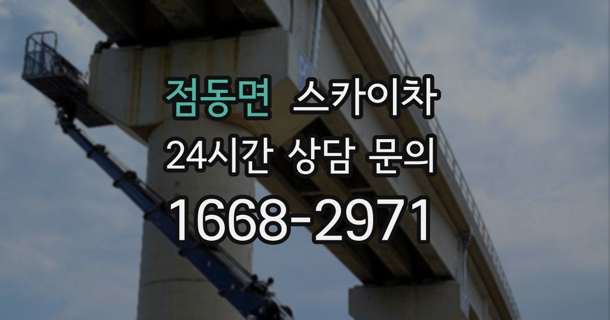 점동면 스카이차