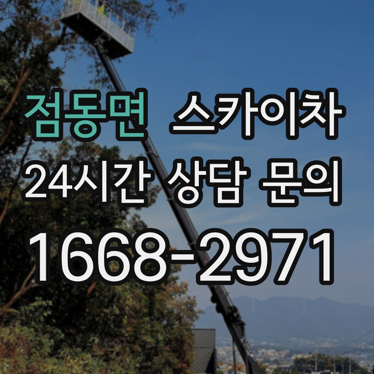 점동면 스카이차