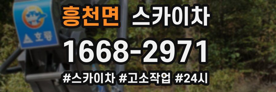 흥천면 스카이차