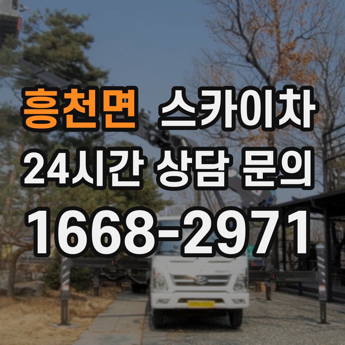 흥천면 스카이차