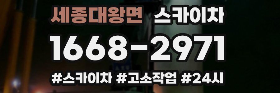 세종대왕면 스카이차