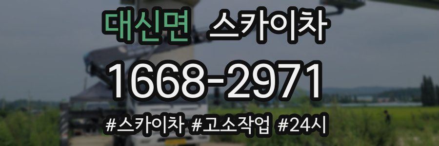 대신면 스카이차