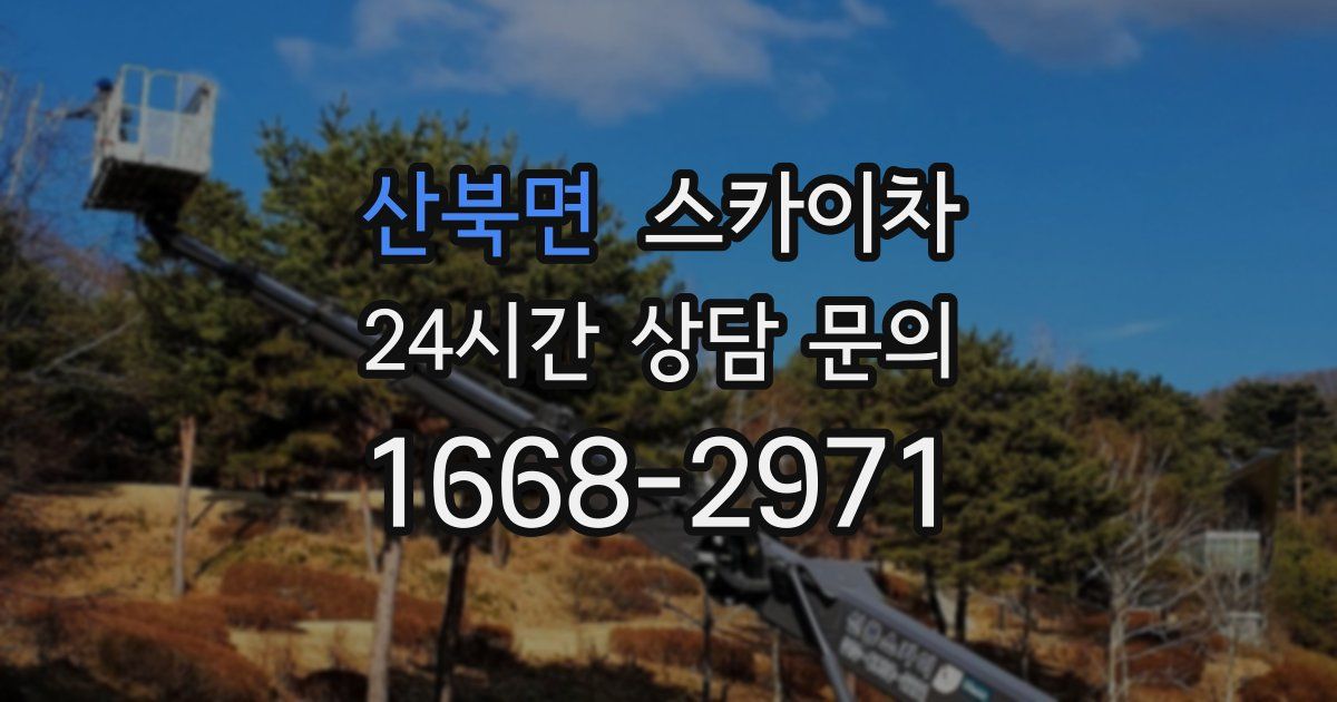 산북면 스카이차