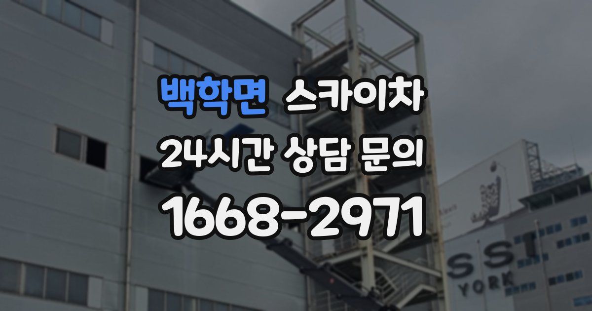 백학면 스카이차