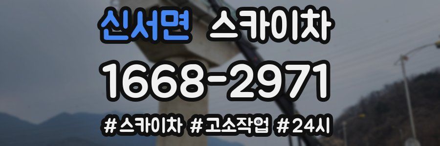 신서면 스카이차