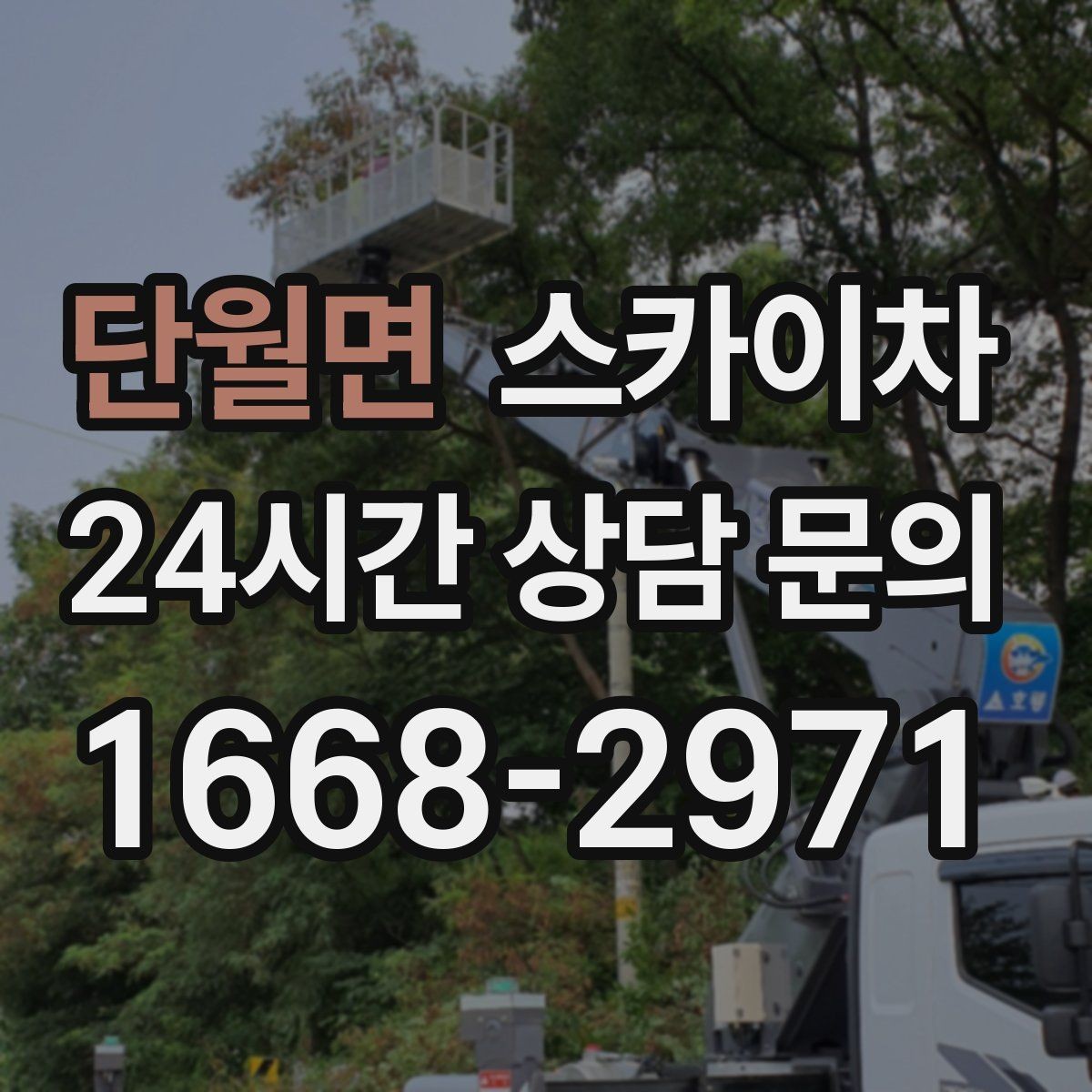 단월면 스카이차 1층 간판도 스카이차가 필요한 경우