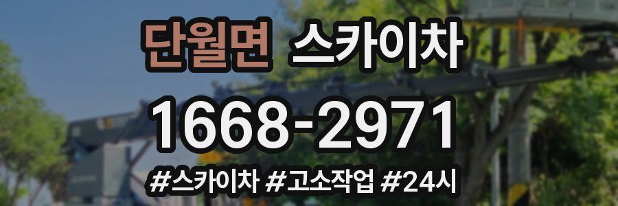 단월면 스카이차