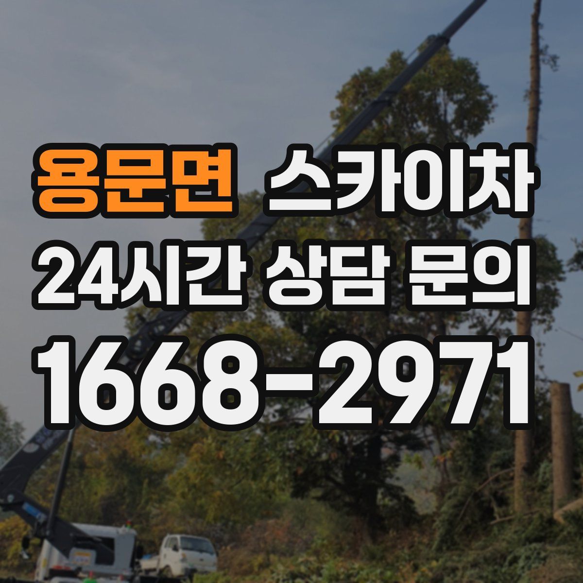 용문면 스카이차