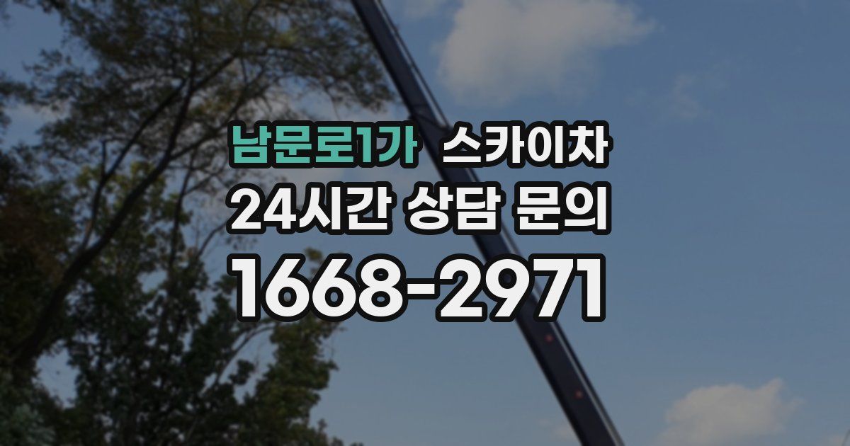 남문로1가 스카이차