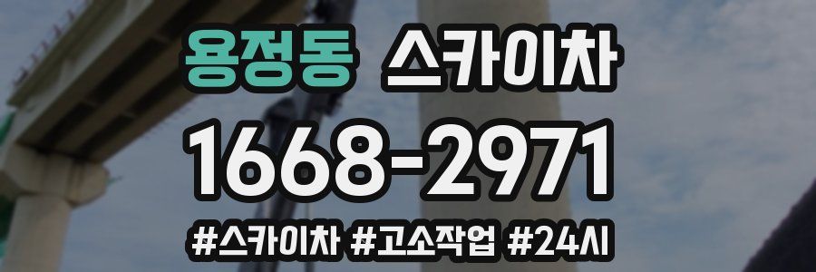 용정동 스카이차