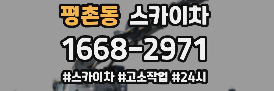 평촌동 스카이차