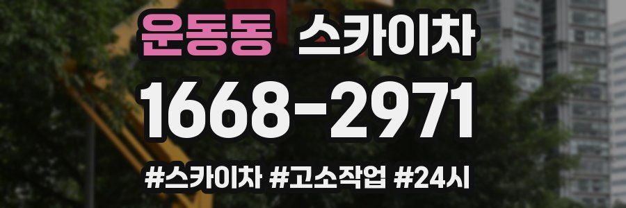 운동동 스카이차