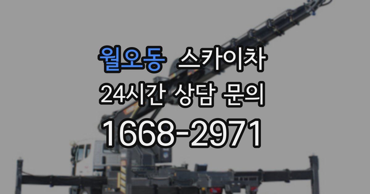 월오동 스카이차