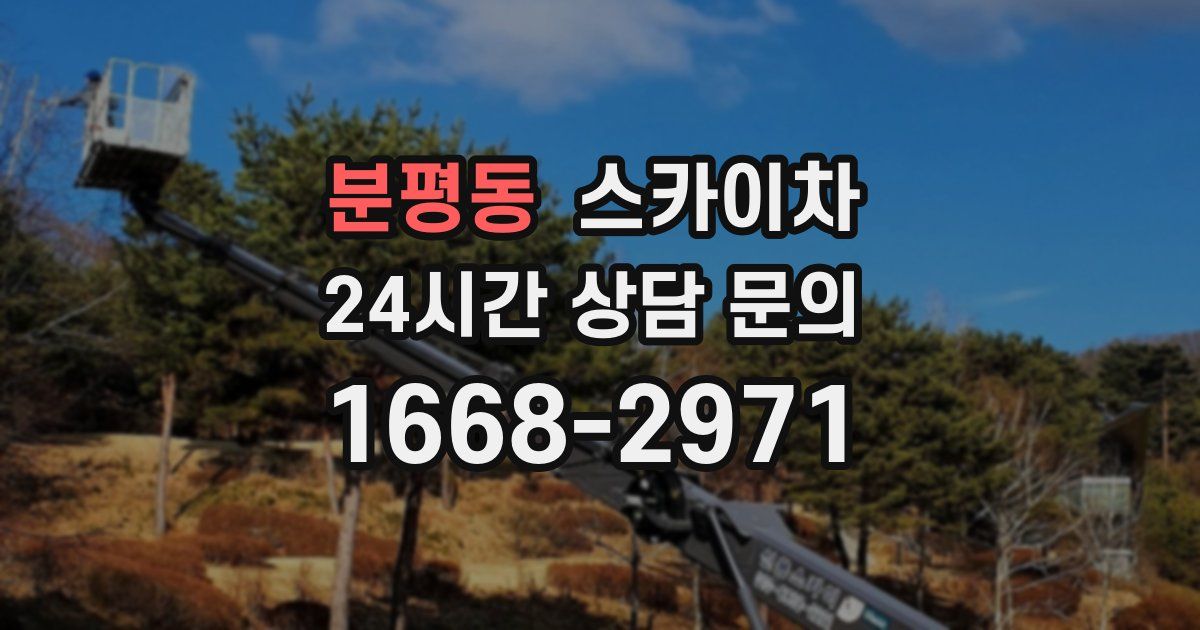 분평동 스카이차