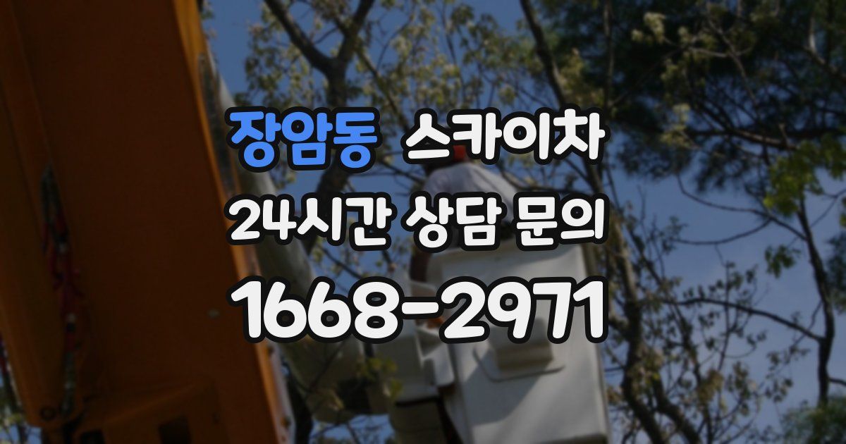 장암동 스카이차