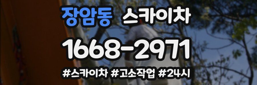 장암동 스카이차