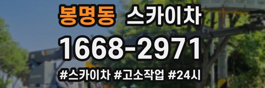 봉명동 스카이차