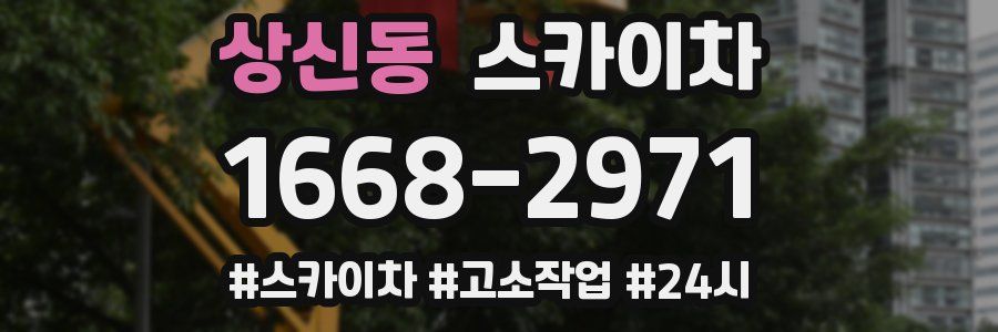 상신동 스카이차